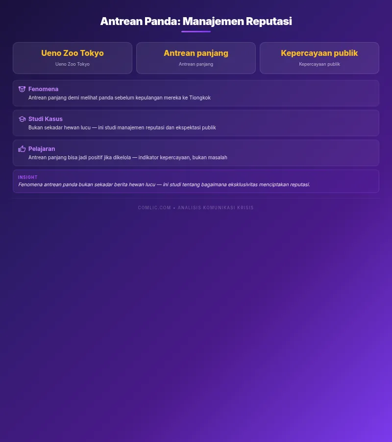 Infografik comlic.com